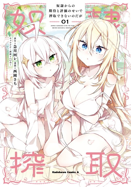 奴隷からの期待と評価のせいで搾取できないのだが （1）【急川回レ】