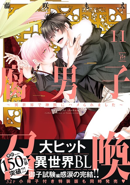 腐男子召喚〜異世界で神獣にハメられました〜 : 11 【特別描き下ろし漫画付き】【藤咲もえ】