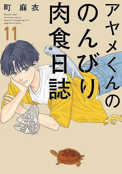 アヤメくんののんびり肉食日誌 （11）【町麻衣】