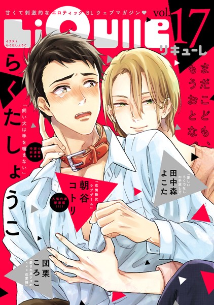 LiQulle（リキューレ） VOL.17【らくたしょうこ】