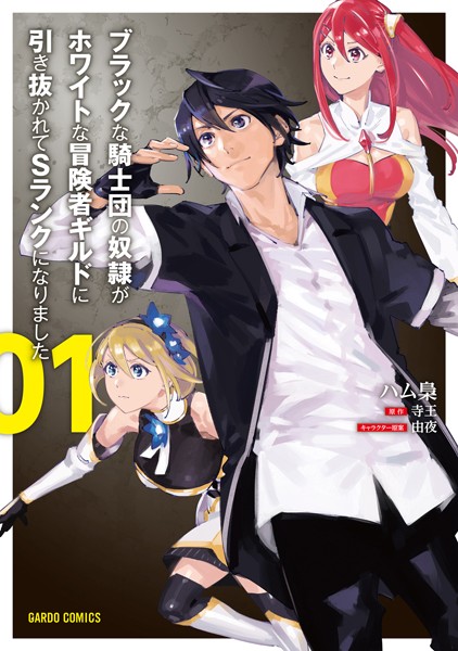 ブラックな騎士団の奴隷がホワイトな冒険者ギルドに引き抜かれてSランクになりました 1【ハム梟】