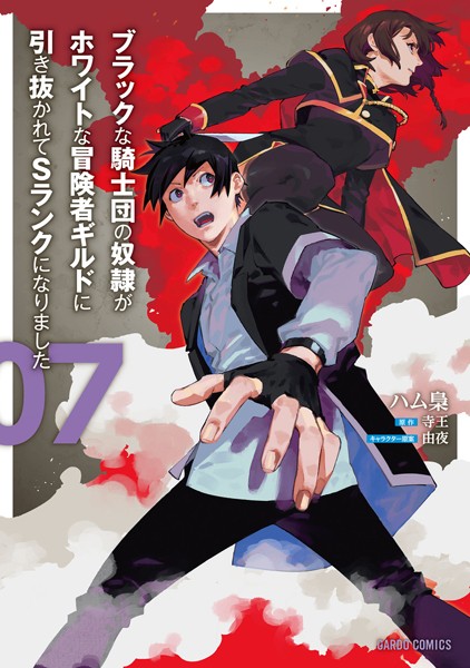 ブラックな騎士団の奴隷がホワイトな冒険者ギルドに引き抜かれてSランクになりました 7【ハム梟】