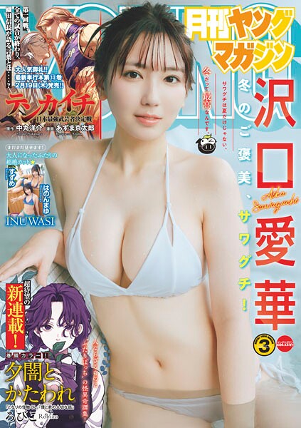 月刊ヤングマガジン 2026年No.3 ［2026年2月19日発売］【楠みちはる】