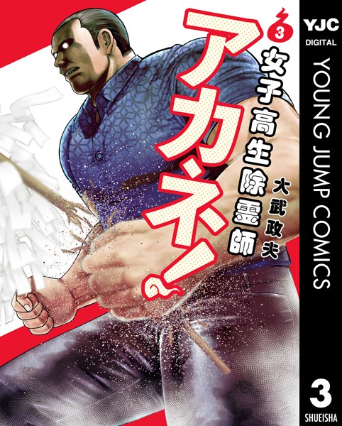 女子高生除霊師アカネ！ 3【大武政夫】