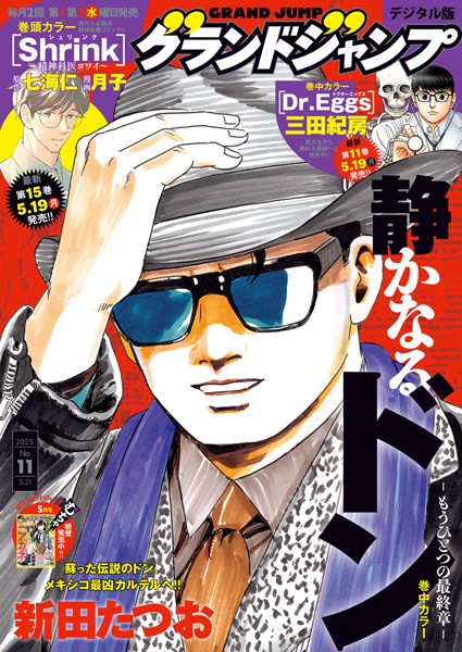 グランドジャンプ 2025 No.11【グランドジャンプ編集部】