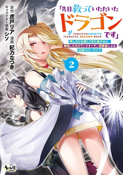 「先日救っていただいたドラゴンです」〜押しかけ女房してきた美少女と、隠居した元Sランクオッサン冒険者による辺境スローライフ〜（ノヴァコミックス）2【虎戸リア】