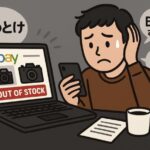 カメラ無在庫販売をeBayでやるのは危険？“やめとけ”と言われる理由とその実態